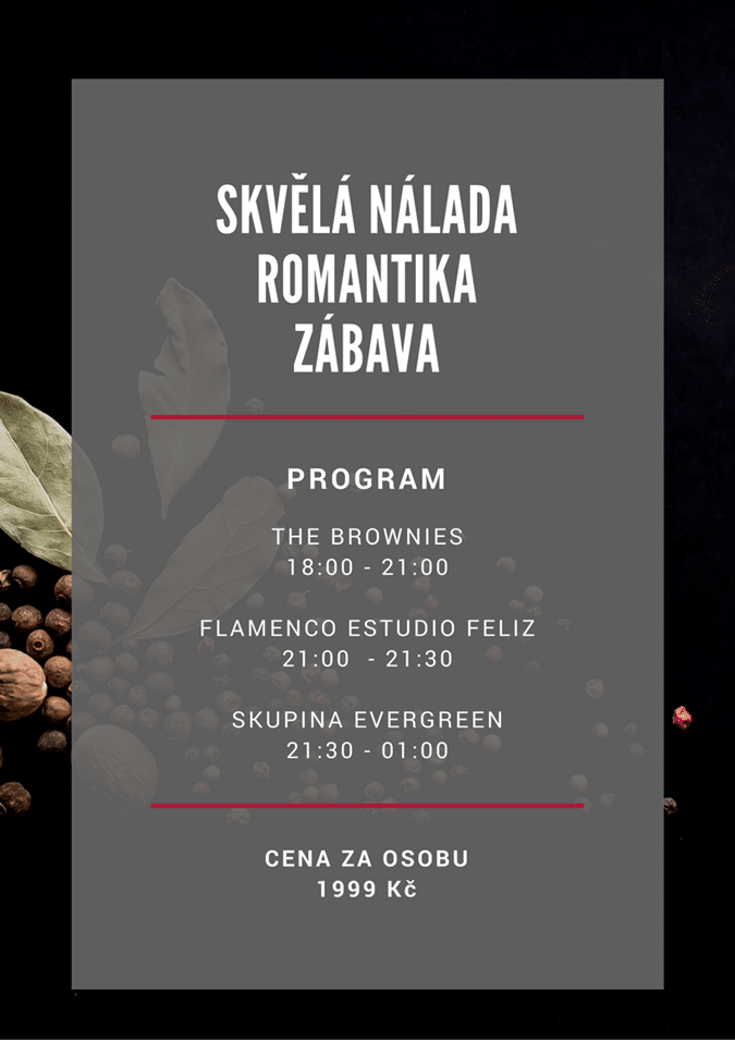 Program Silvestr 2017